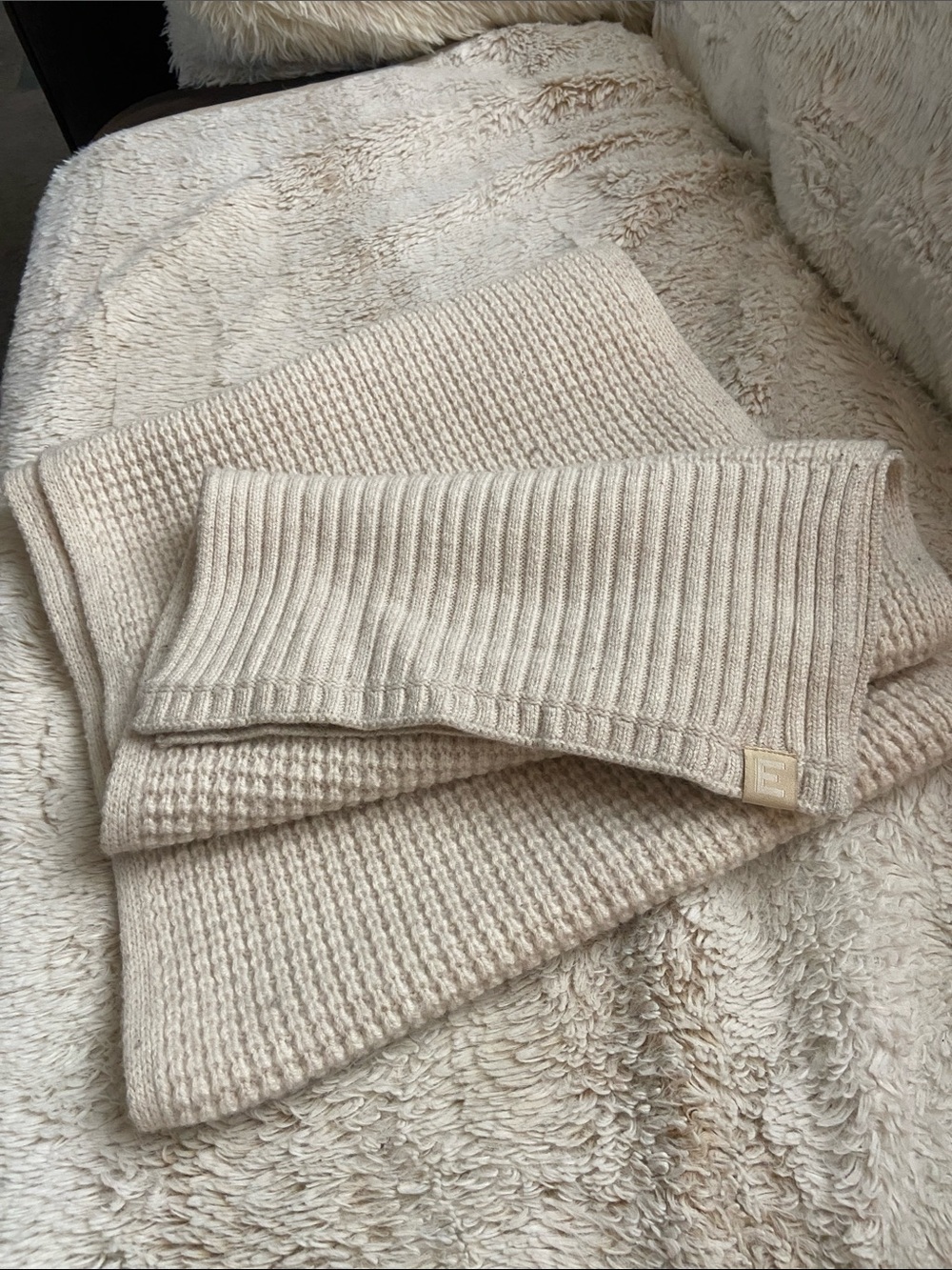 Everlane Cozy Ivory Knit  Wool Scarf